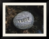 Rock with the Word Trust in Water