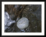 Rock with the Word Trust in Water