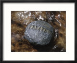 Create Written on Rock in Flowing Water