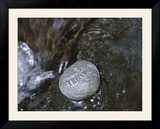 Rock with the Word Trust in Water