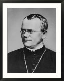 Gregor Johann Mendel Austrian Botanist