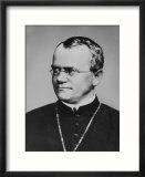 Gregor Johann Mendel Austrian Botanist