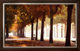 Champs-Elysees