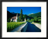 Vineyards and chateau  Montreux  Switzerland