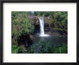 Rainbow Falls  Hilo  HI