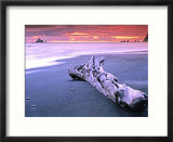 Rialto Beach Sunset with Driftwood Log