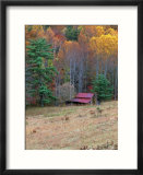 Cabin in Late Autumn in West Virginia