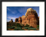 Chessler Park  Needles Area  Canyonlands National Park  Canyonlands National Park  Utah  USA