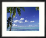Bora Bora Island  French Polynesia So Pacific