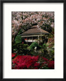 Japanese Tea Garden  San Francisco  California  USA