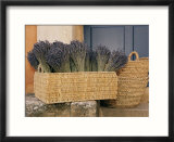 Basket full of herbs