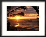 Sunset on the Ocean with Palm Trees  Oahu  HI