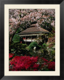 Japanese Tea Garden  San Francisco  California  USA