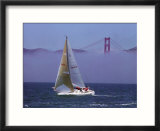 Sailboat  San Francisco  CA