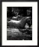2 White Horses in Water