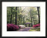 Azalea Way  Botanical Gardens  Bronx  NY