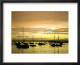 Sunset on Harbor  San Diego  CA