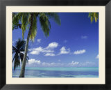 Bora Bora Island  French Polynesia So Pacific