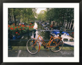 The Keizersgracht Canal  with potted flowers and a bicycle in the foreground