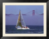 Sailboat  San Francisco  CA