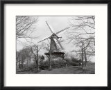 Windmill in park  Alkmaar  Netherlands