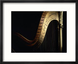 Harp