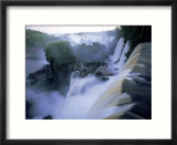 View of Iguazu Falls from Argentine side