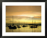 Sunset on Harbor  San Diego  CA