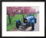Bugatti racecar and cherry blossoms