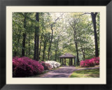 Azalea Way  Botanical Gardens  Bronx  NY