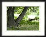 Wooden Swing Hanging from Tree