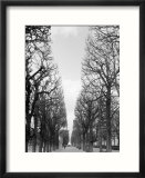 Marco Polo Garden  Boulevard Saint Michel