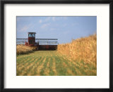 Combine in field