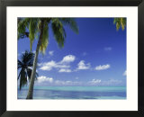 Bora Bora Island  French Polynesia So Pacific