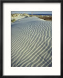 Dunes  Cumberland Island National Seashore