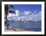 Miami Skyline  FL
