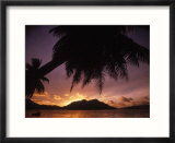 Tropical beach at sunset  The Seychelles