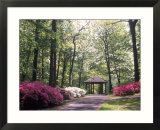 Azalea Way  Botanical Gardens  Bronx  NY