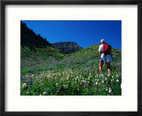 Hiking Mt Timpanogos in the Wasatch National Forest  Utah  USA