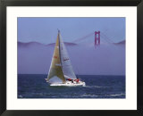 Sailboat  San Francisco  CA