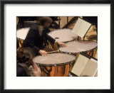 Orchestra timpanist