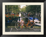 The Keizersgracht Canal  with potted flowers and a bicycle in the foreground