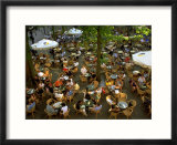 Cafe Overview  Leidseplein  Amsterdam  Holland