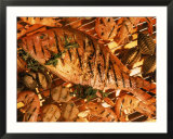 Grilled Fish and Shrimp