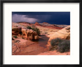 Valley of Fire State Park  Valley of Fire State Park  Nevada  USA