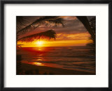 Sunset on the Ocean with Palm Trees  Oahu  HI
