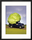 Lettuce in bed of miniature truck