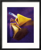Fortune Cookie with Internet Address Inside