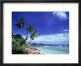 Palm Trees and Ocean  La Digue  Seychelles