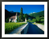 Vineyards and chateau  Montreux  Switzerland